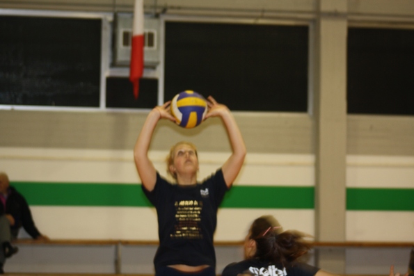 polbottega.it - Morgana Buccarini