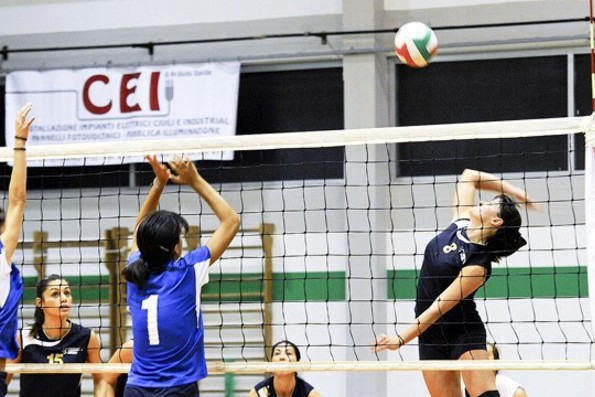 polbottega.it - Alice Bellazecca